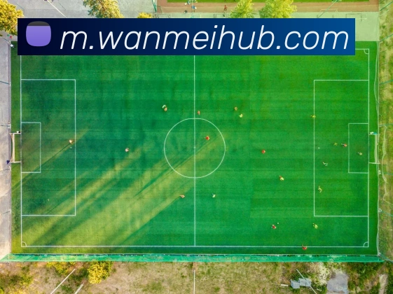 完美体育发展历程